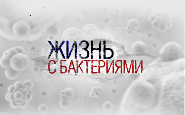 Bakt_zaglushka_1920_1200