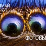 PR_Snimay